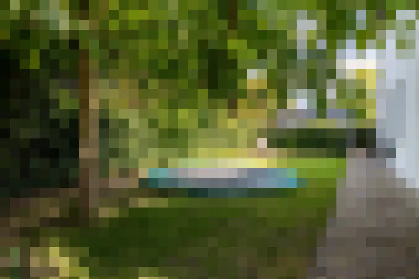 Bavelse Leij 11 Bavel thumbnail 47