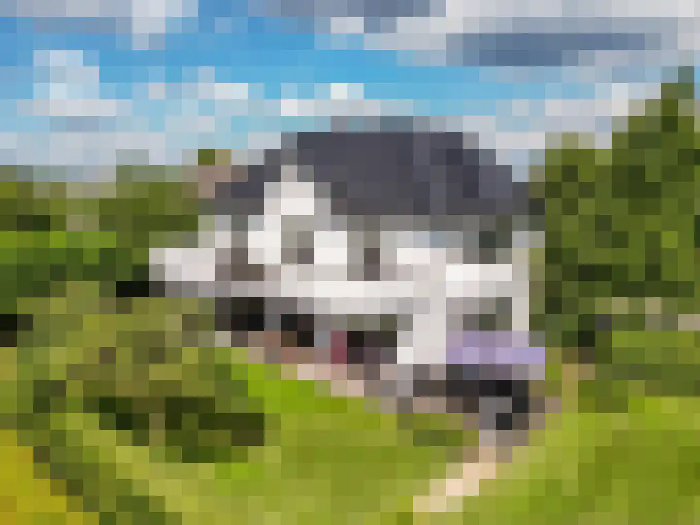 Bavelse Leij 11 Bavel thumbnail 49