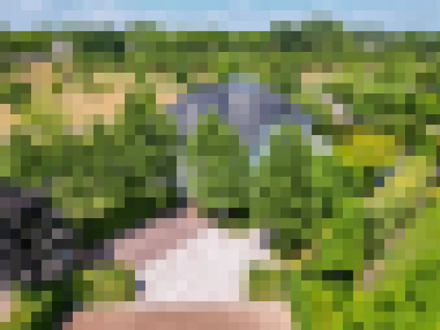 Bavelse Leij 11 Bavel thumbnail 50