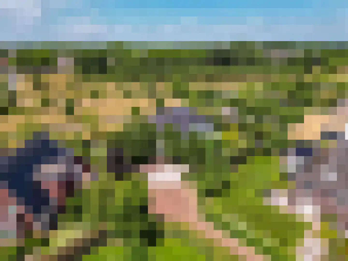 Bavelse Leij 11 Bavel thumbnail 51