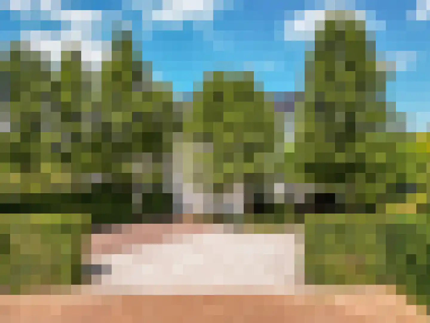 Bavelse Leij 11 Bavel thumbnail 7