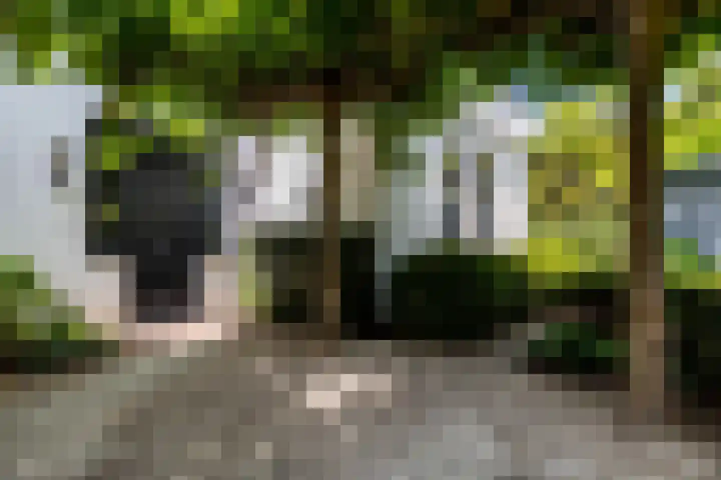 Bavelse Leij 11 Bavel thumbnail 8