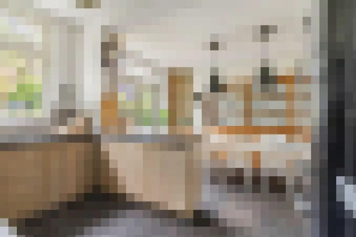Bavelselaan 123 Breda thumbnail 13