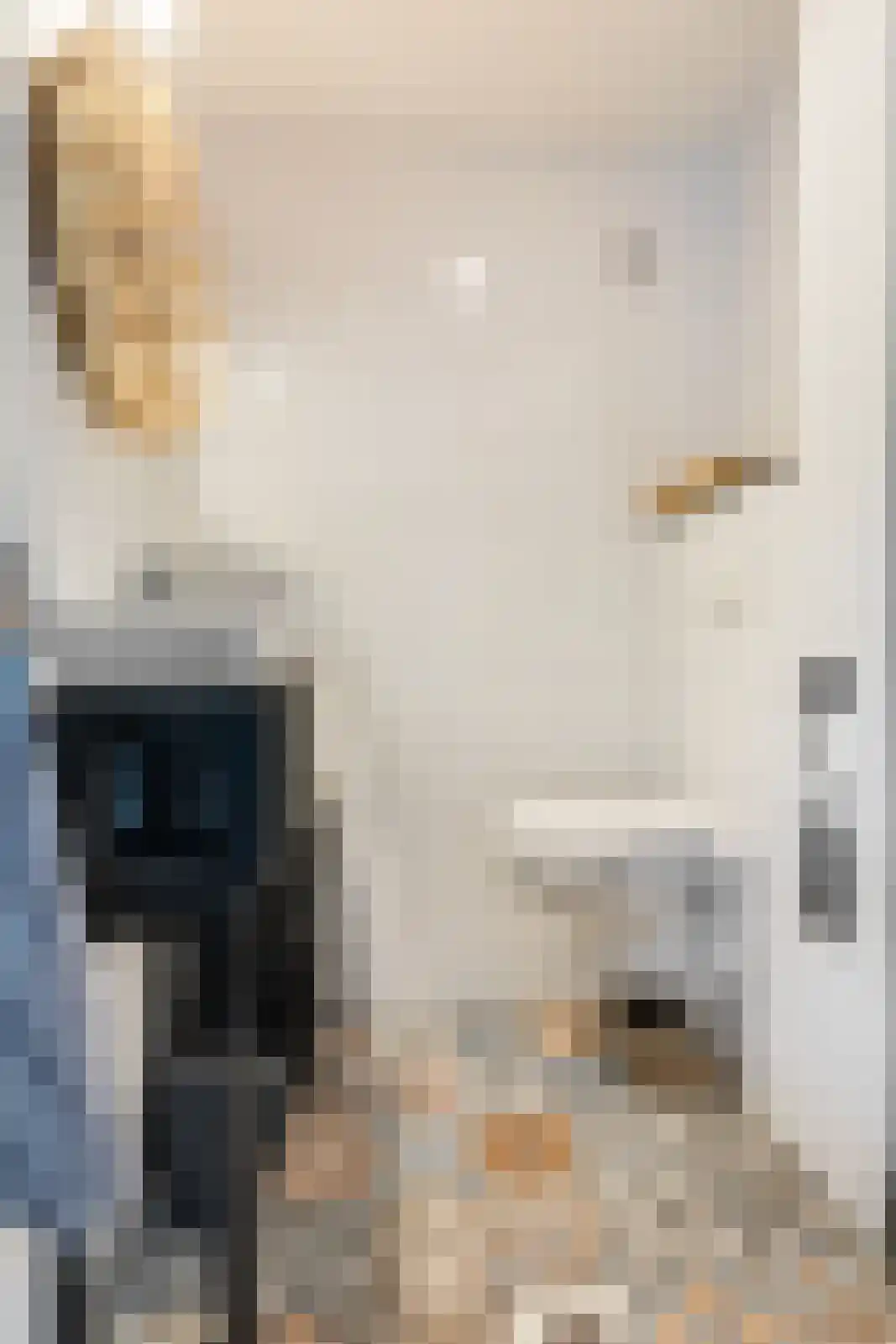 Bavelselaan 123 Breda thumbnail 29