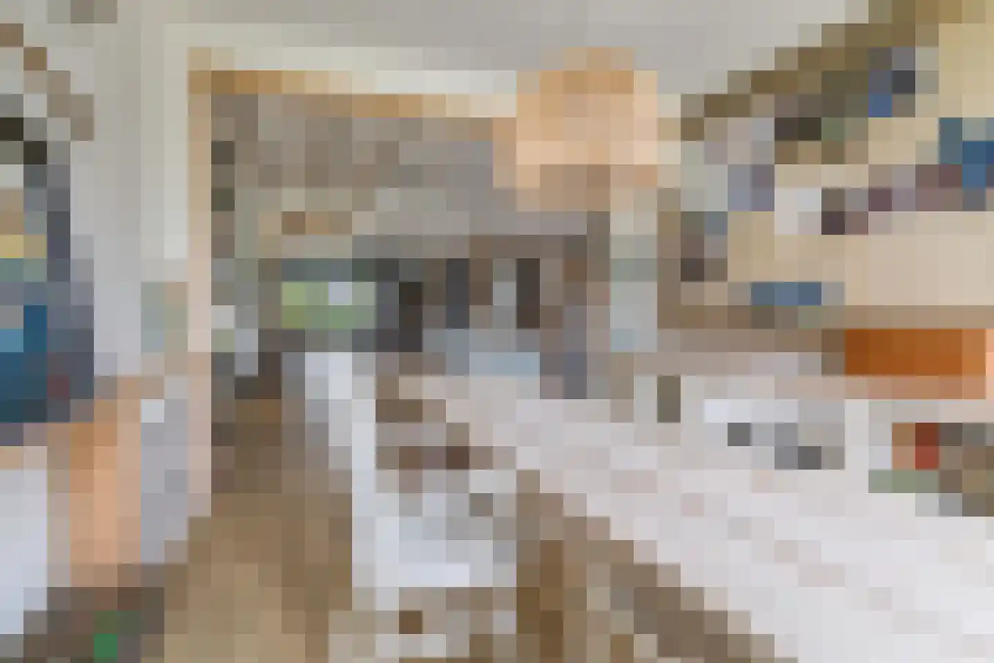Bavelselaan 123 Breda thumbnail 36