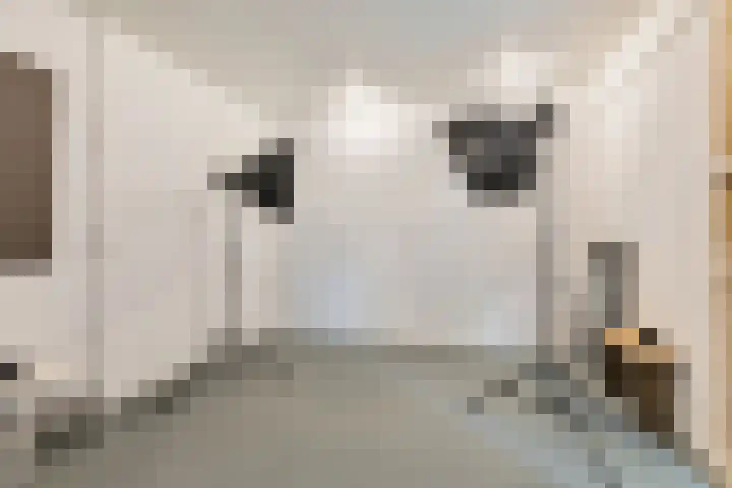 Bavelselaan 123 Breda thumbnail 37