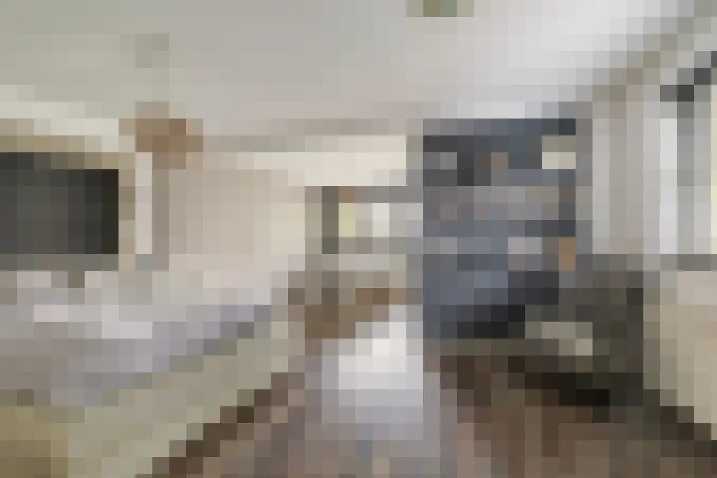 Bavelselaan 123 Breda thumbnail 39
