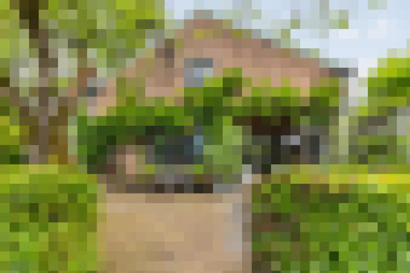Bavelselaan 123 Breda thumbnail 44