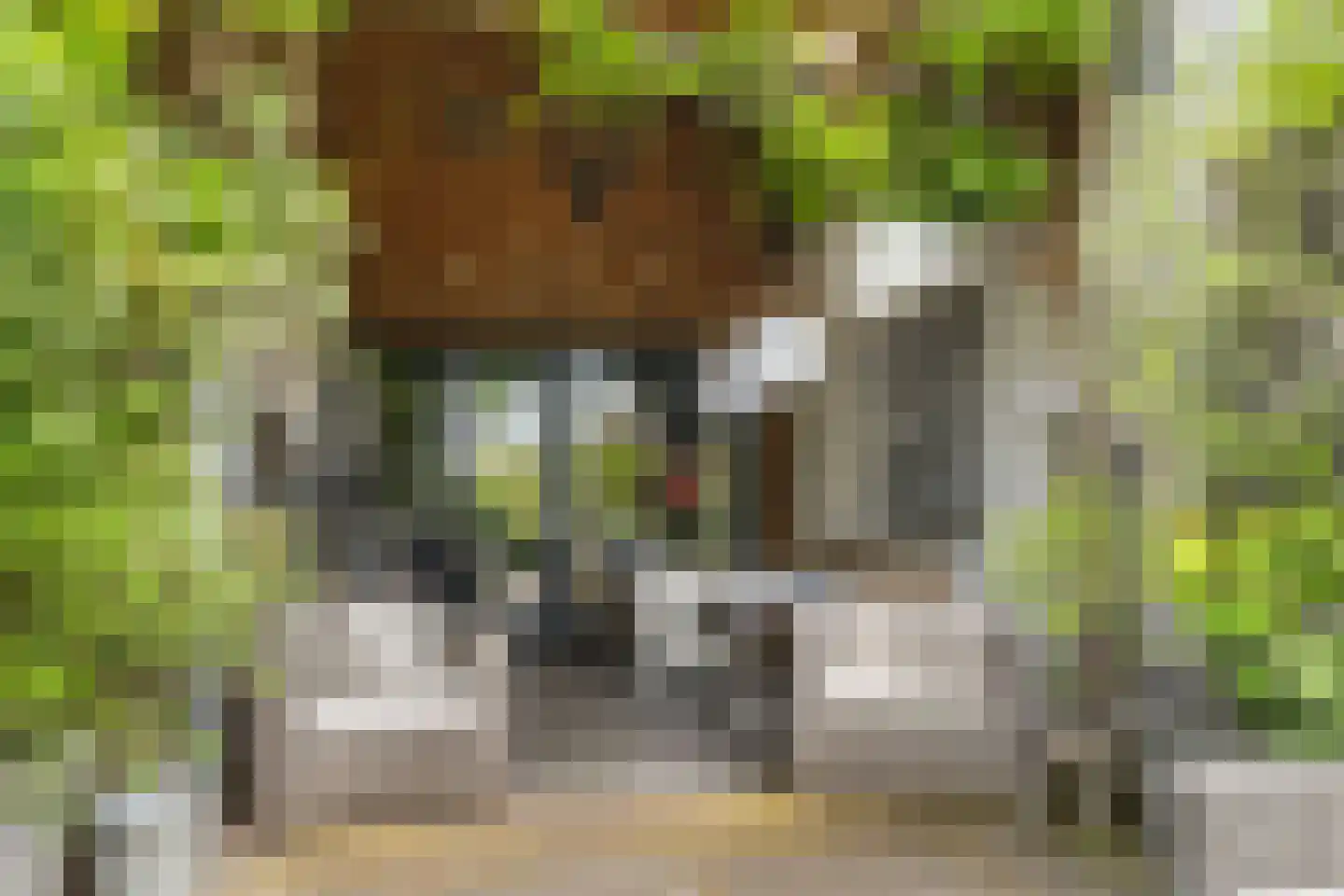 Bavelselaan 123 Breda thumbnail 45