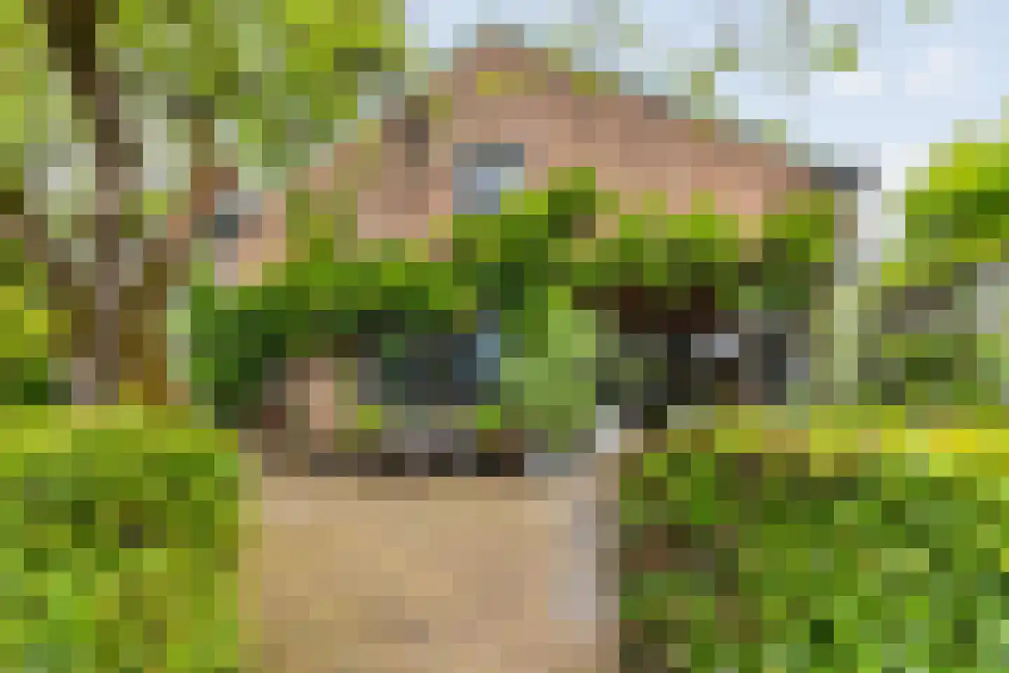 Bavelselaan 123 Breda thumbnail 45