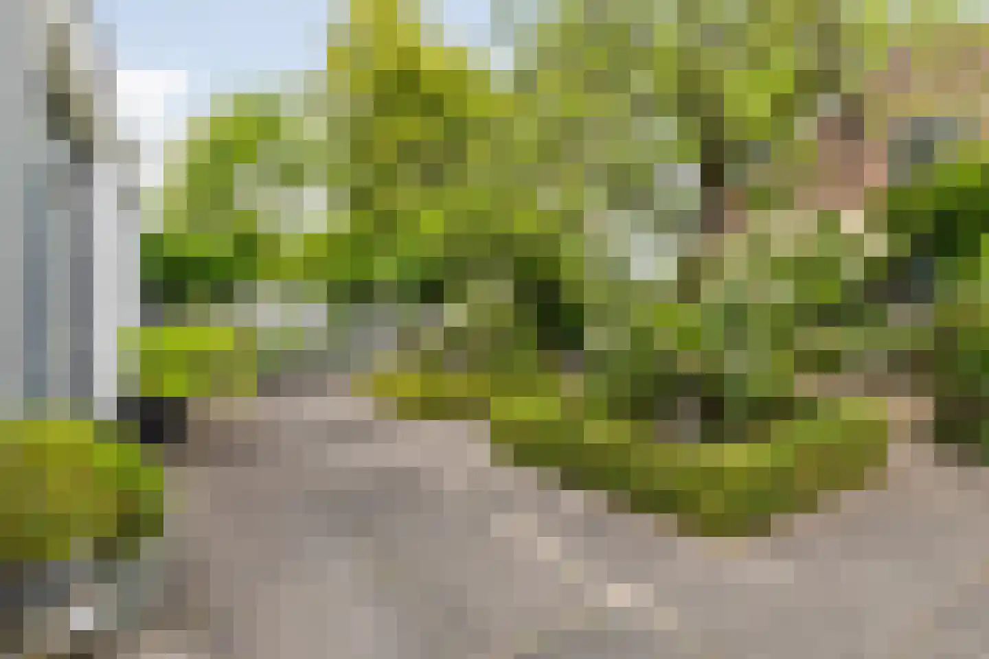 Bavelselaan 123 Breda thumbnail 46