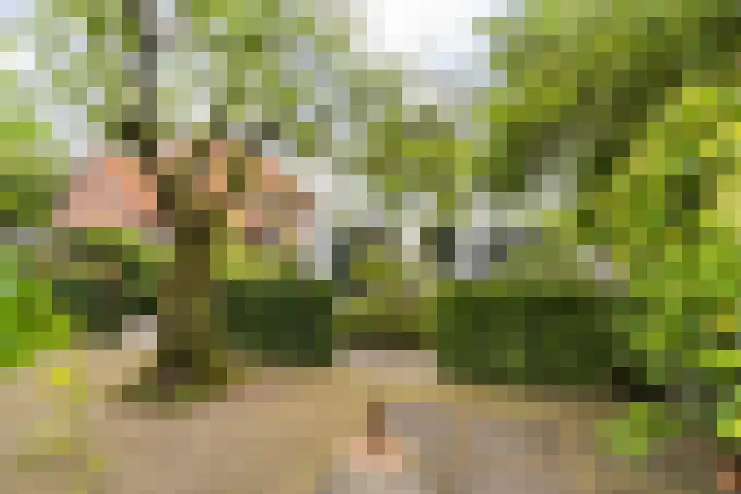 Bavelselaan 123 Breda thumbnail 48