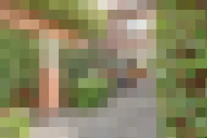 Bavelselaan 125 Breda thumbnail 30