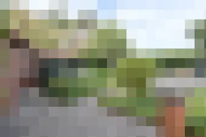 Bavelselaan 125 Breda thumbnail 31