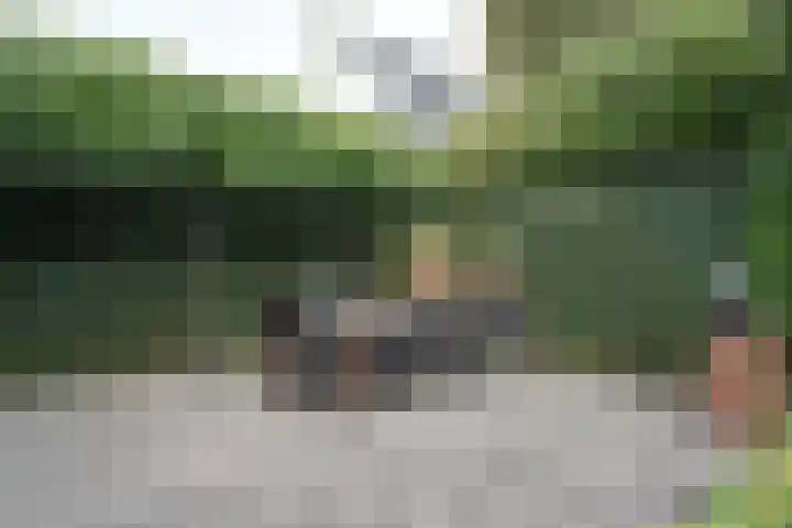 Bavelselaan 125 Breda thumbnail 32