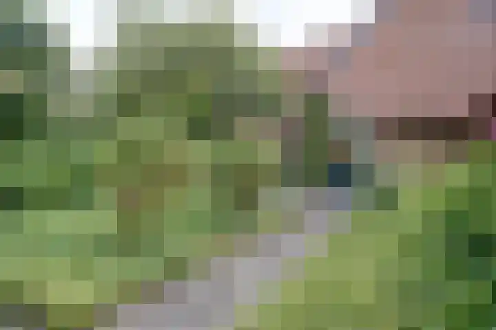 Bavelselaan 125 Breda thumbnail 33