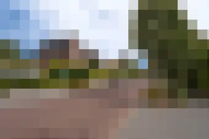 Bavelselaan 125 Breda thumbnail 35