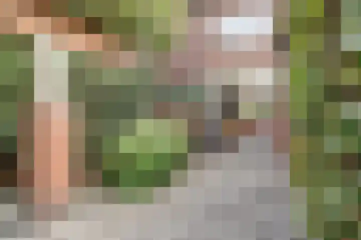 Bavelselaan 125 Breda thumbnail 37