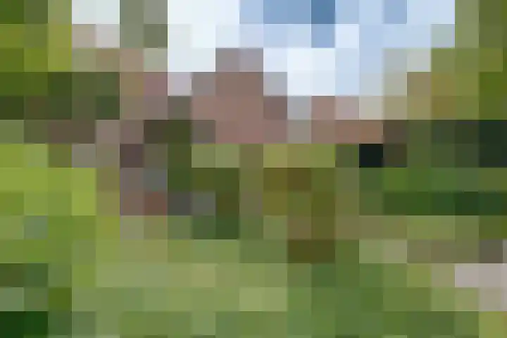 Bavelselaan 125 Breda thumbnail 4