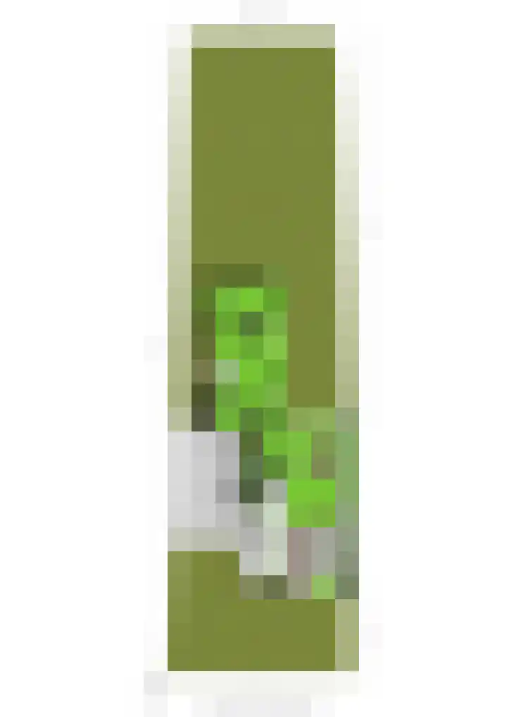 Bavelselaan 125 Breda thumbnail 43