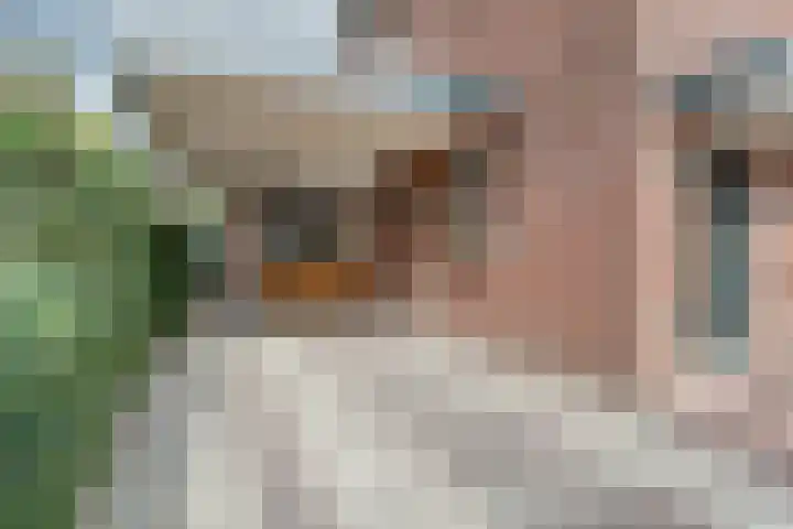 Bavelselaan 125 Breda thumbnail 6