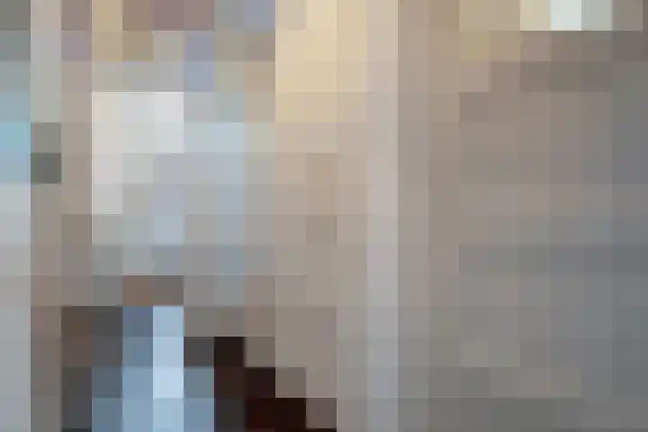 Bavelselaan 125 Breda thumbnail 7