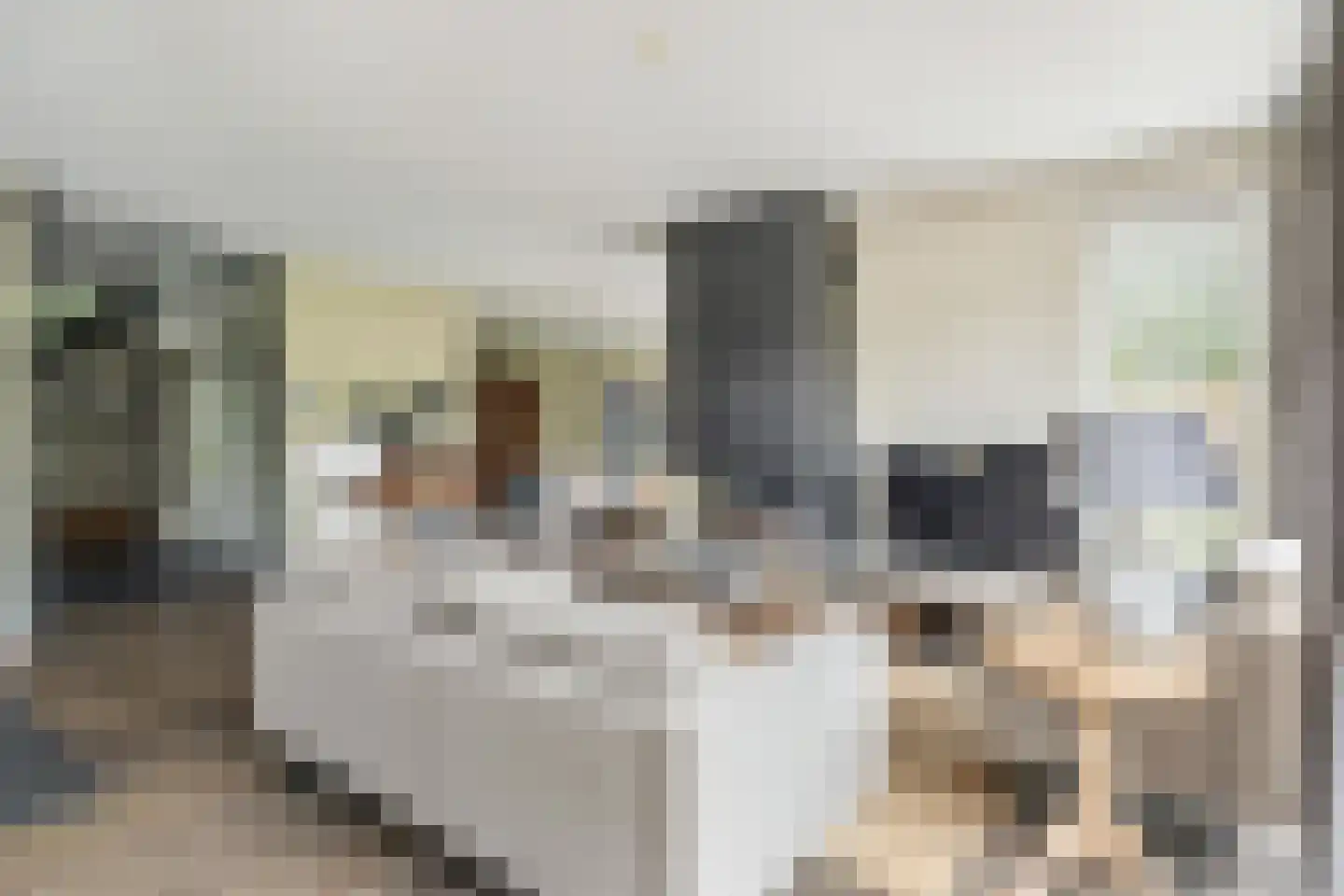 Bavelselaan 141 D Breda thumbnail 21