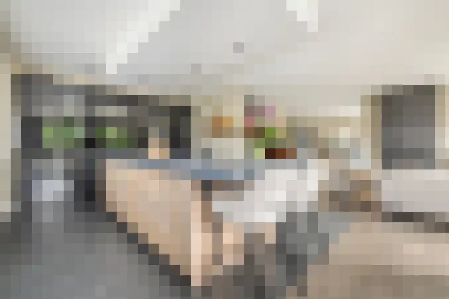 Bavelselaan 141 D Breda thumbnail 43