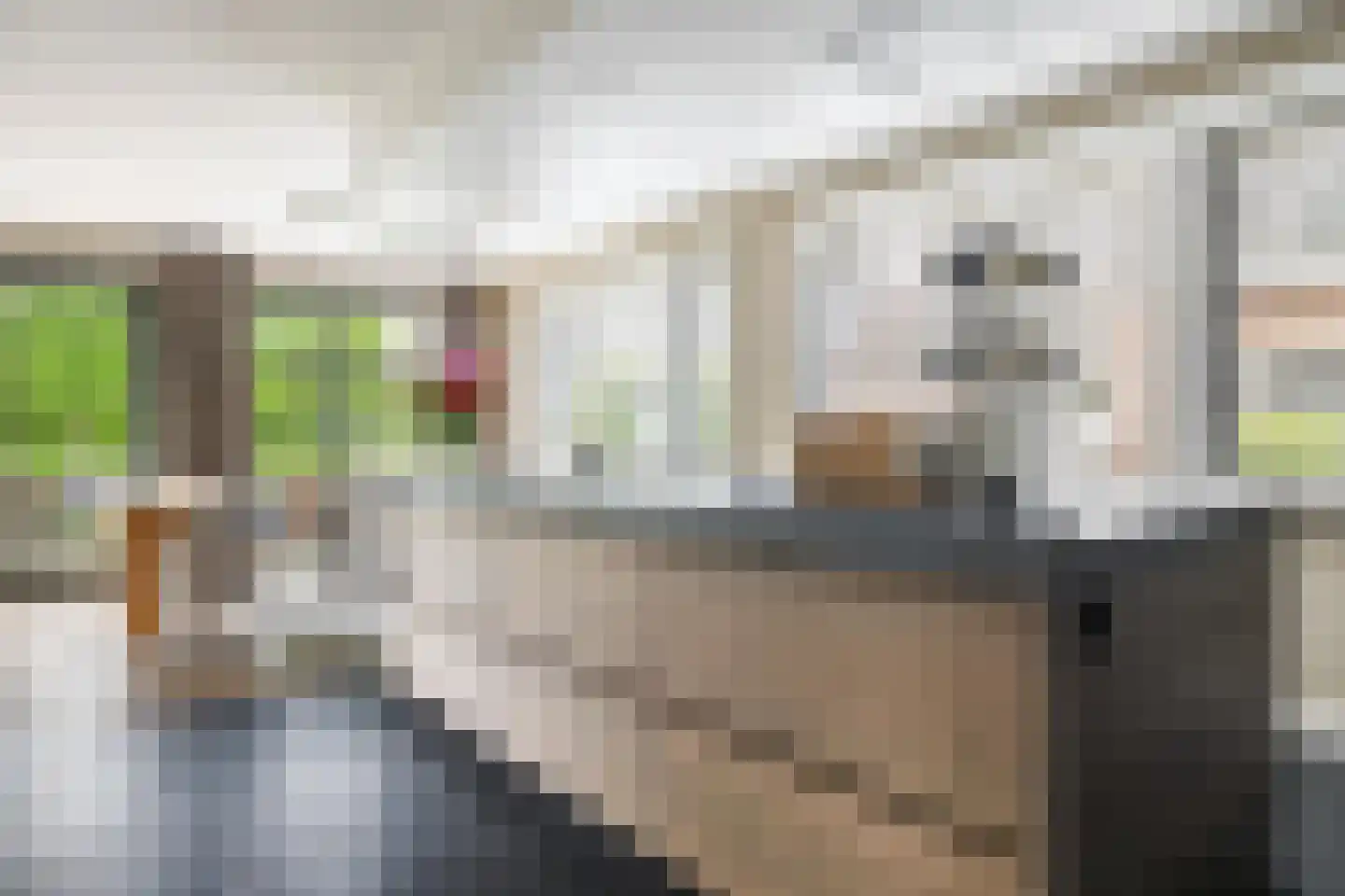 Bavelselaan 141 D Breda thumbnail 46