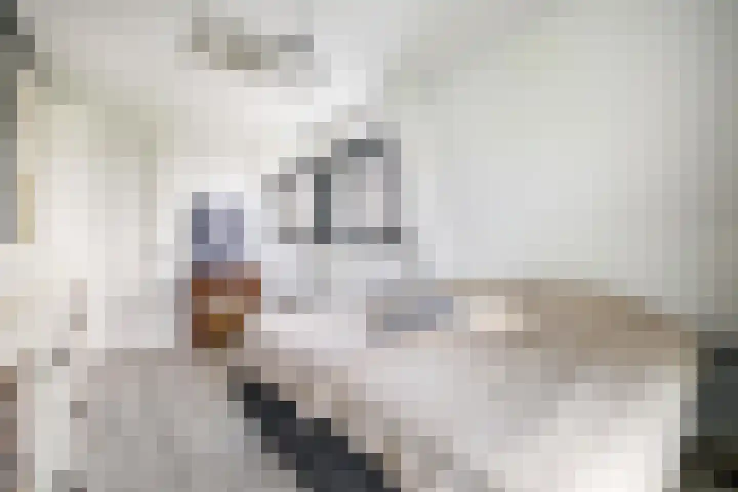 Bavelselaan 141 D Breda thumbnail 55