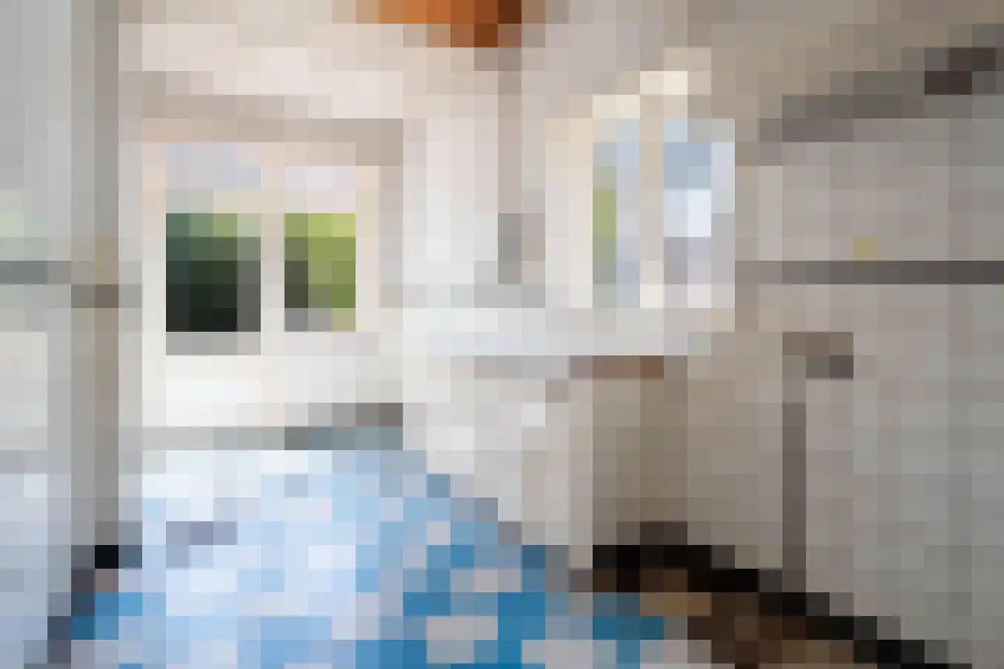 Bavelselaan 154 Breda thumbnail 13