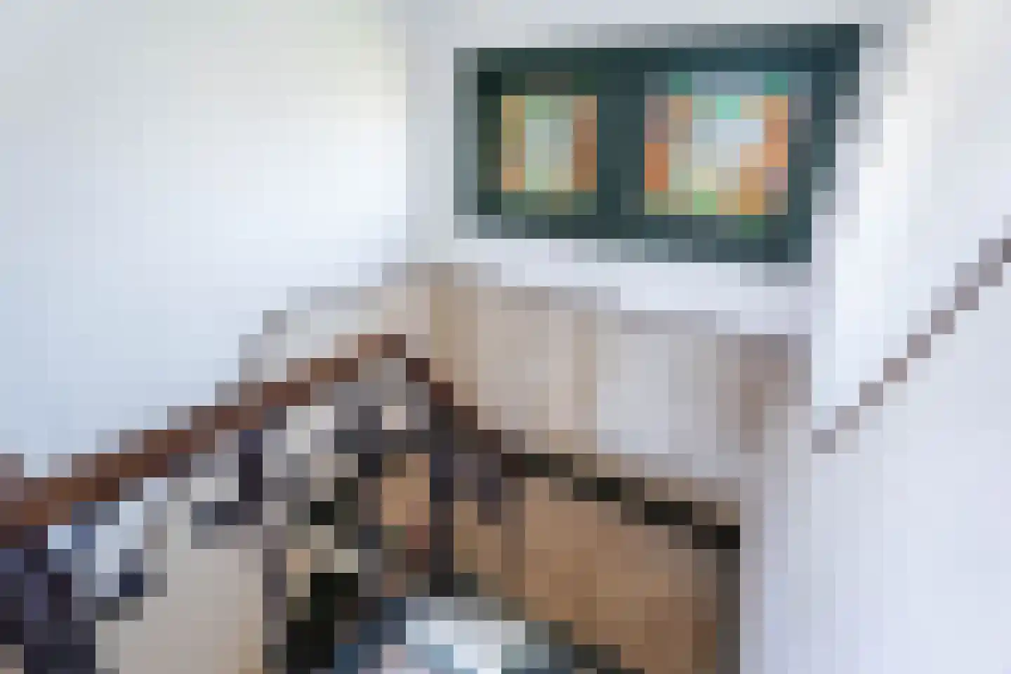 Bavelselaan 154 Breda thumbnail 17