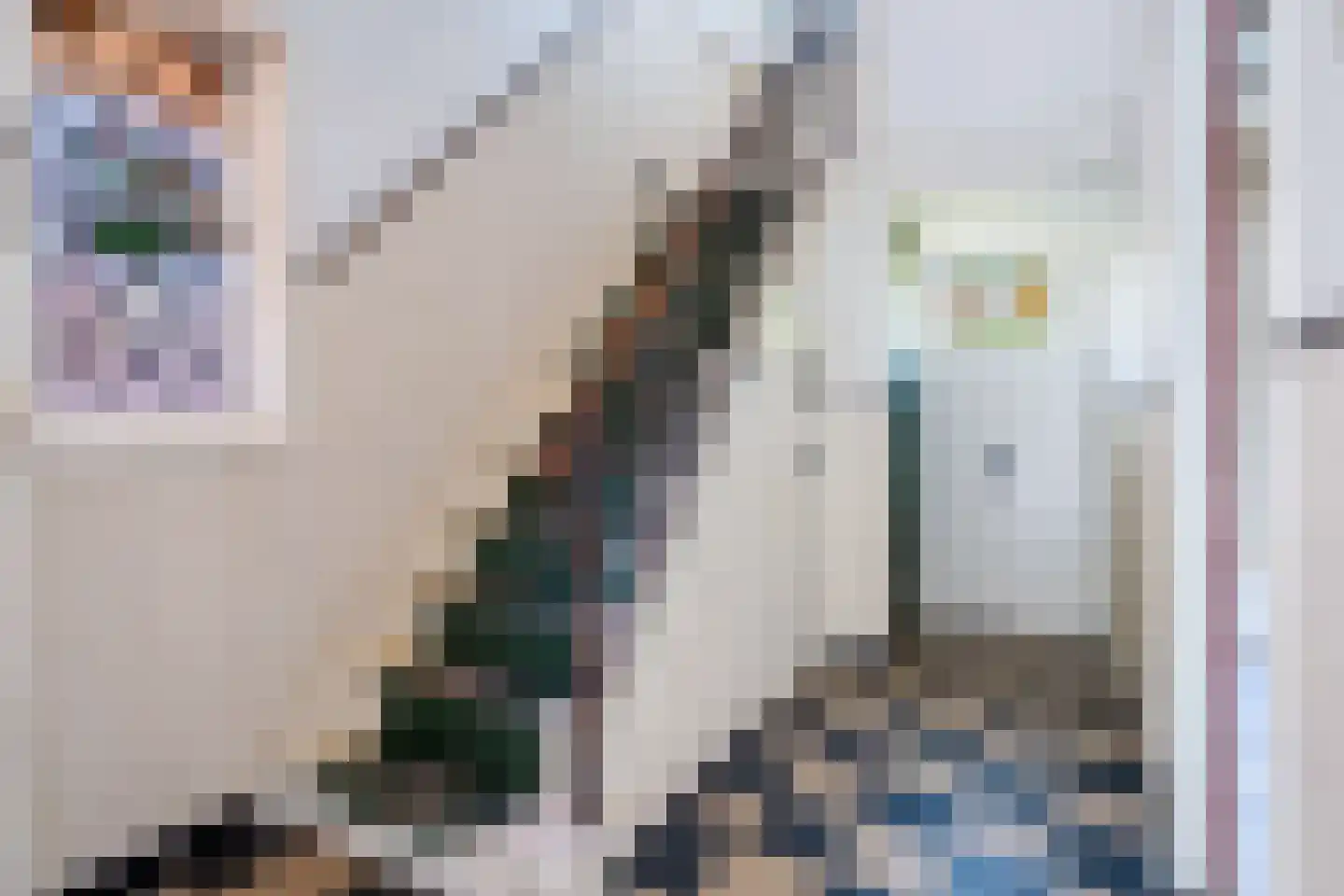 Bavelselaan 154 Breda thumbnail 5