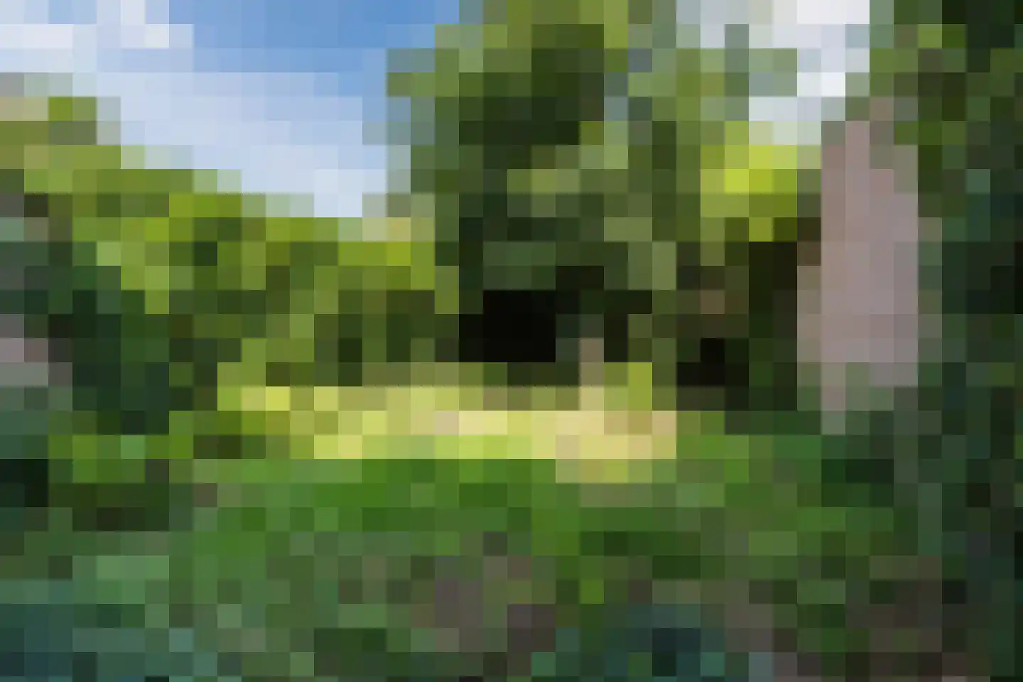 Bavelselaan 191 Breda thumbnail 4