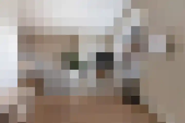 Bavelselaan 205 Breda thumbnail 10