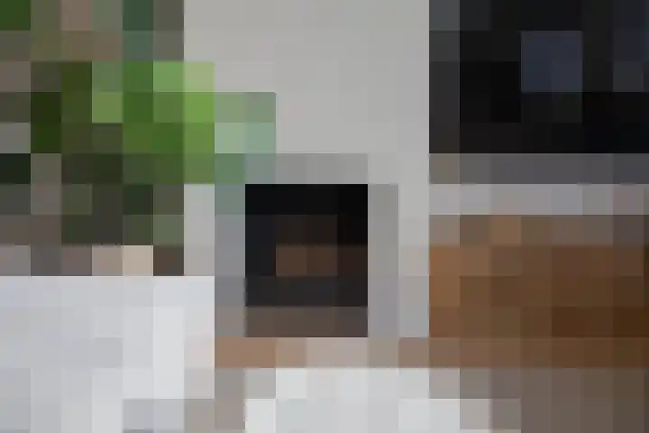 Bavelselaan 205 Breda thumbnail 11