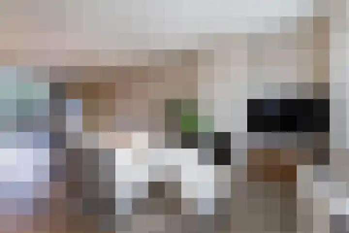 Bavelselaan 205 Breda thumbnail 14