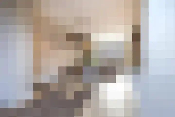 Bavelselaan 205 Breda thumbnail 19