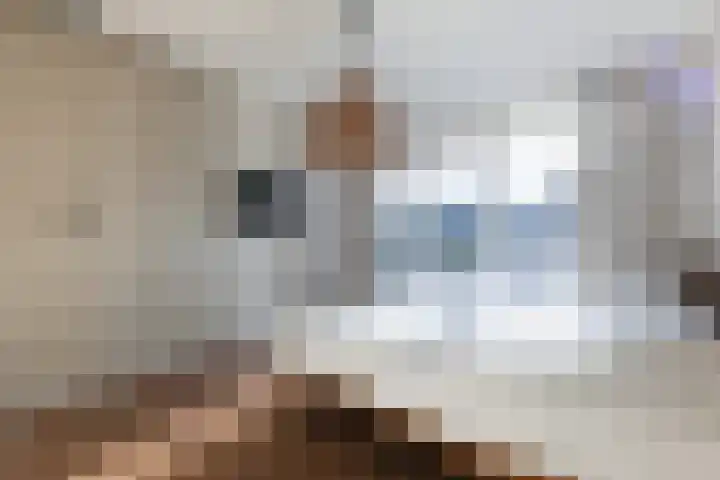 Bavelselaan 205 Breda thumbnail 28