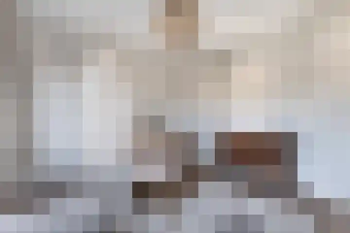 Bavelselaan 205 Breda thumbnail 32