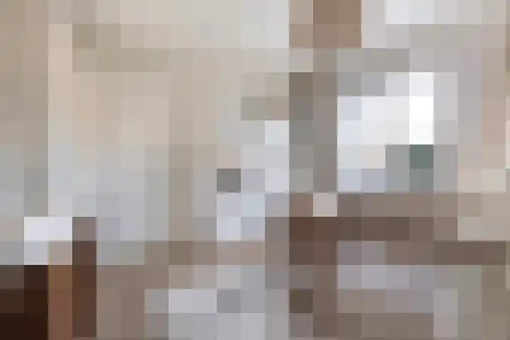Bavelselaan 205 Breda thumbnail 33