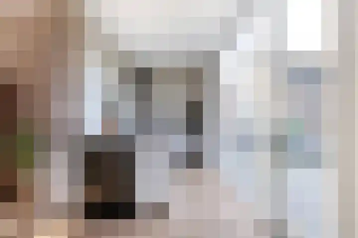 Bavelselaan 205 Breda thumbnail 4