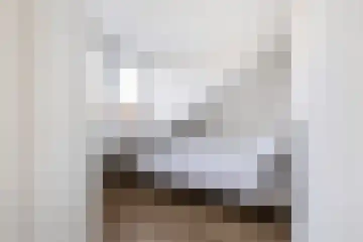 Bavelselaan 205 Breda thumbnail 41