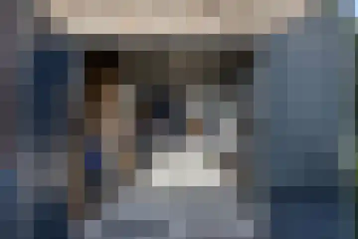 Bavelselaan 205 Breda thumbnail 49