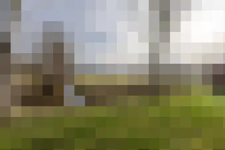 Bavelselaan 205 Breda thumbnail 55