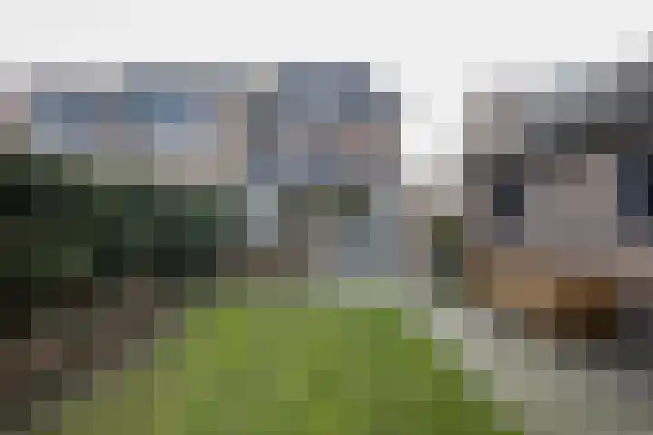 Bavelselaan 205 Breda thumbnail 6
