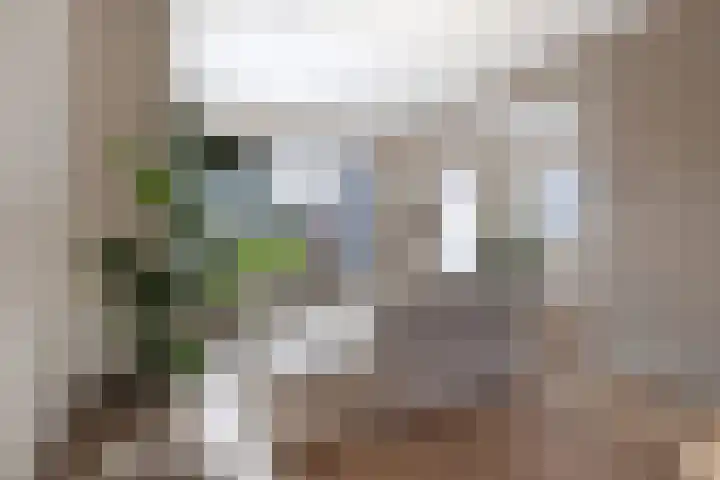 Bavelselaan 205 Breda thumbnail 9
