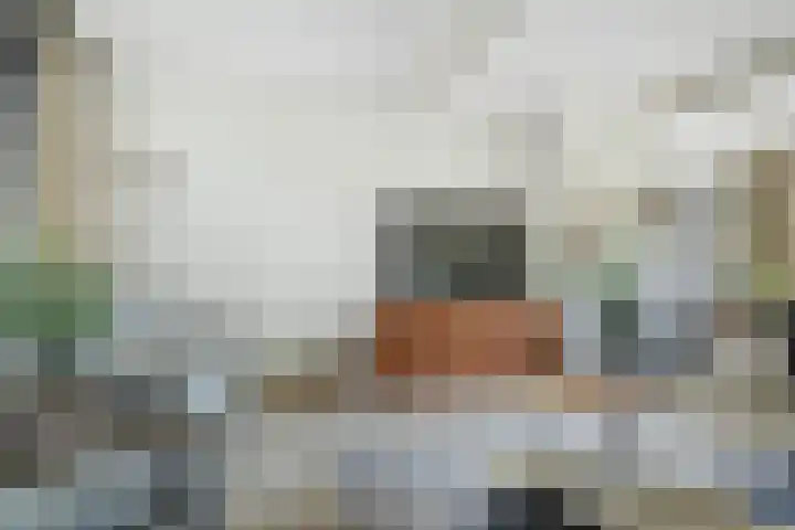 Bavelselaan 21 B Breda thumbnail 13