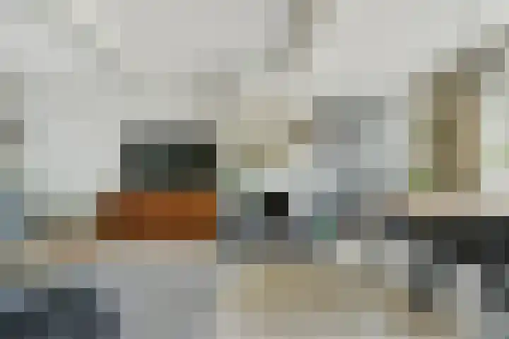 Bavelselaan 21 B Breda thumbnail 16