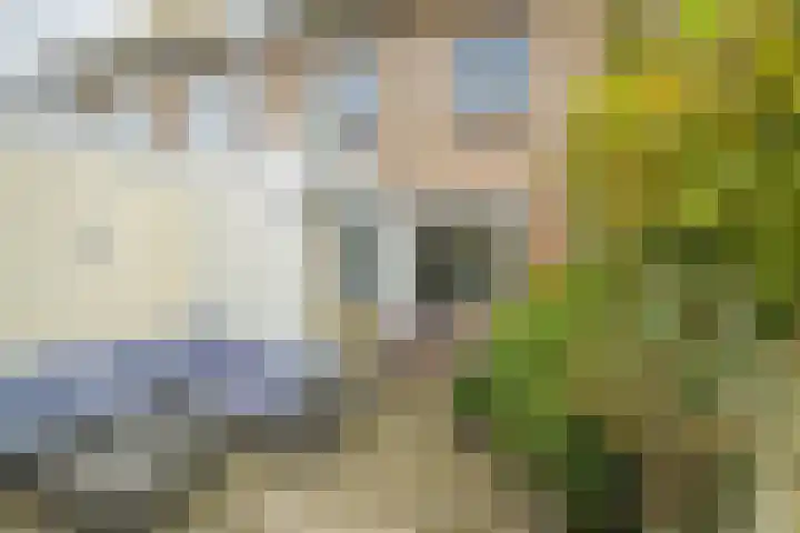 Bavelselaan 21 B Breda thumbnail 25